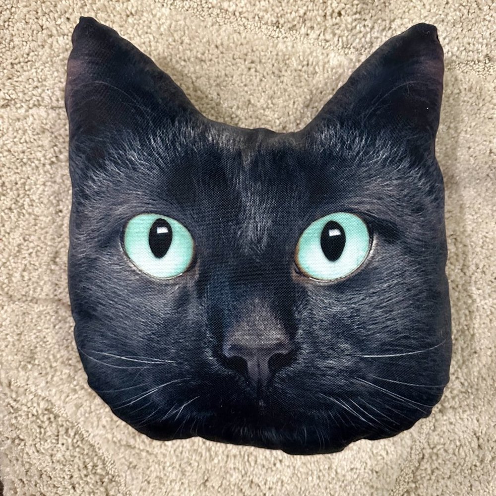 Black Cat Throw Pillow